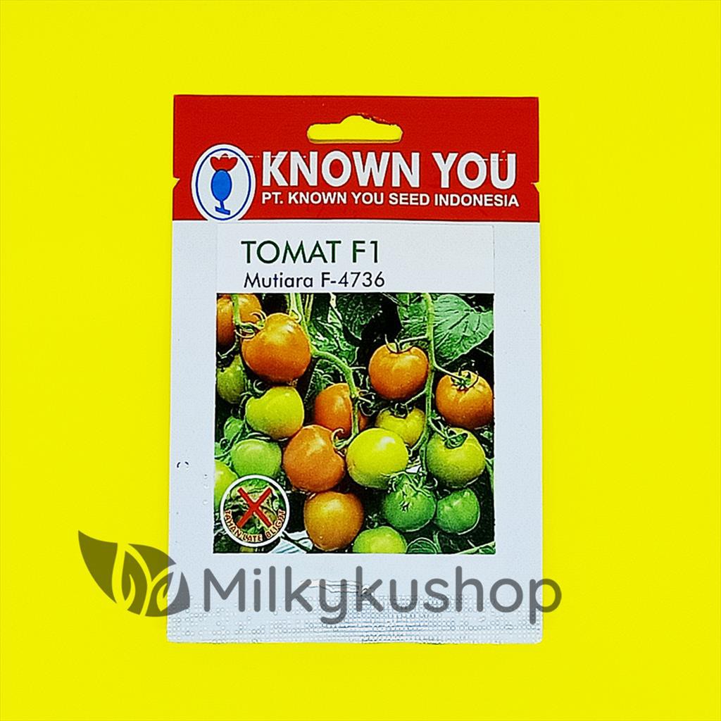 BENIH KYS KNOWN YOU SEED TOMAT F1 MUTIARA F4736 KEMASAN PABRIK