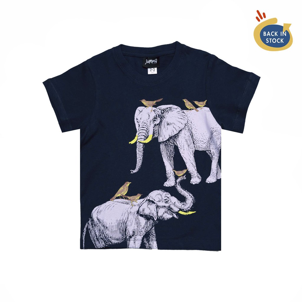 

Jummakids Birds & Calf Printed Tshirt