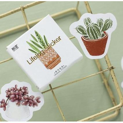 

Promo Lifelog Label Stickers - Succulent Dish (45Pcs) Bergaransi