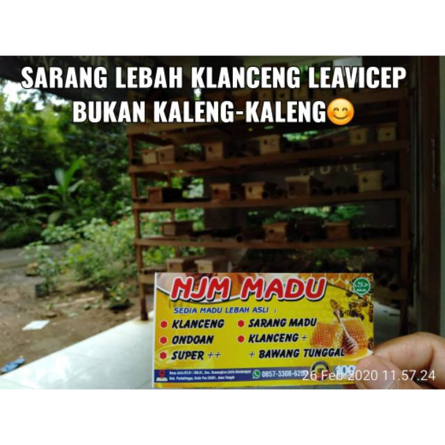 

Madu ondohan, madu klanceng, klaceng bawang lanang, madu royal jelly, sarang madu