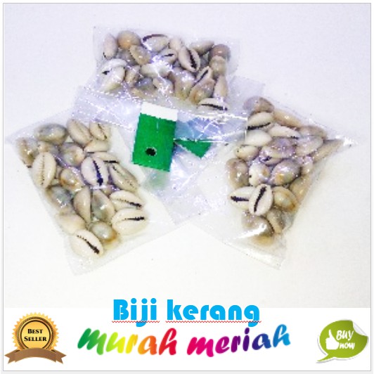 mainan tradisional anak kerang biji congklak bekel