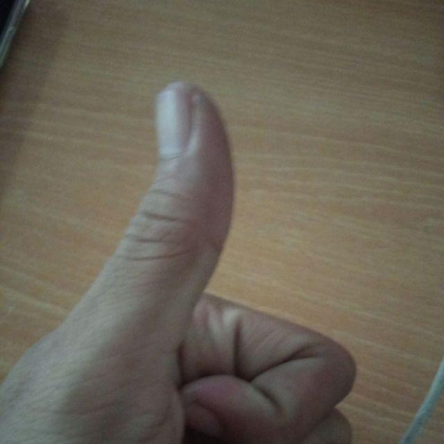 Clamp F Ukuran 5x25 Cm, Handle Kayu Kuat