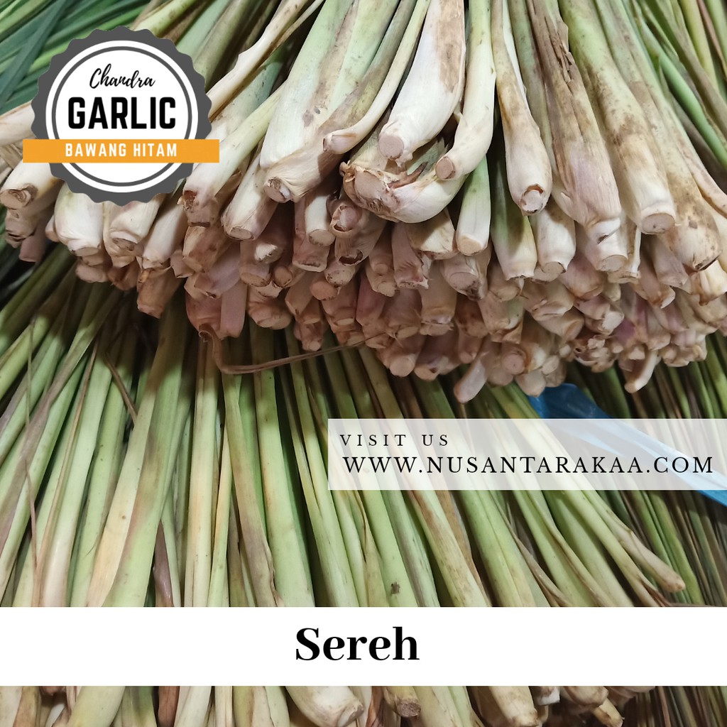 

Best Seller! sereh / serai / sere 1 kg