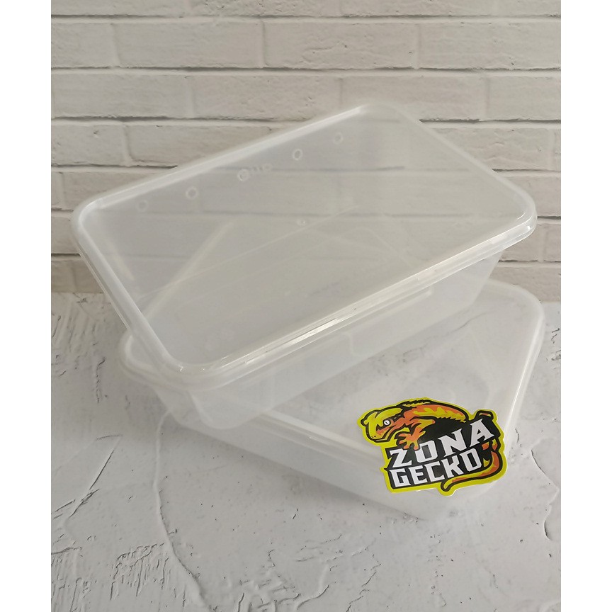 Box/wadah/kotak/kandang plastik leopard gecko baby reptile