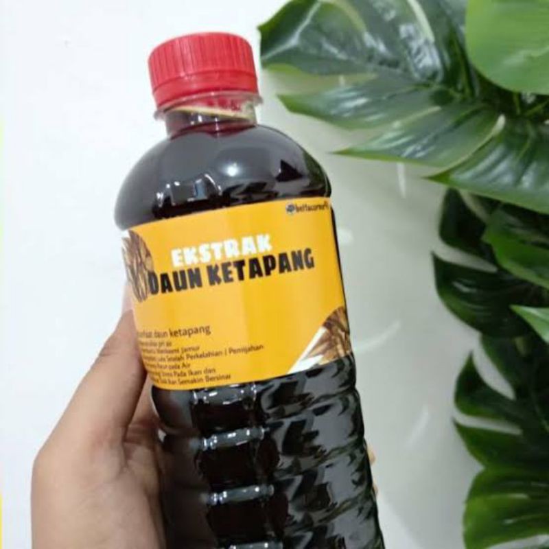 

extra extrak exstrak daun Ketapang hitam pekat termurah