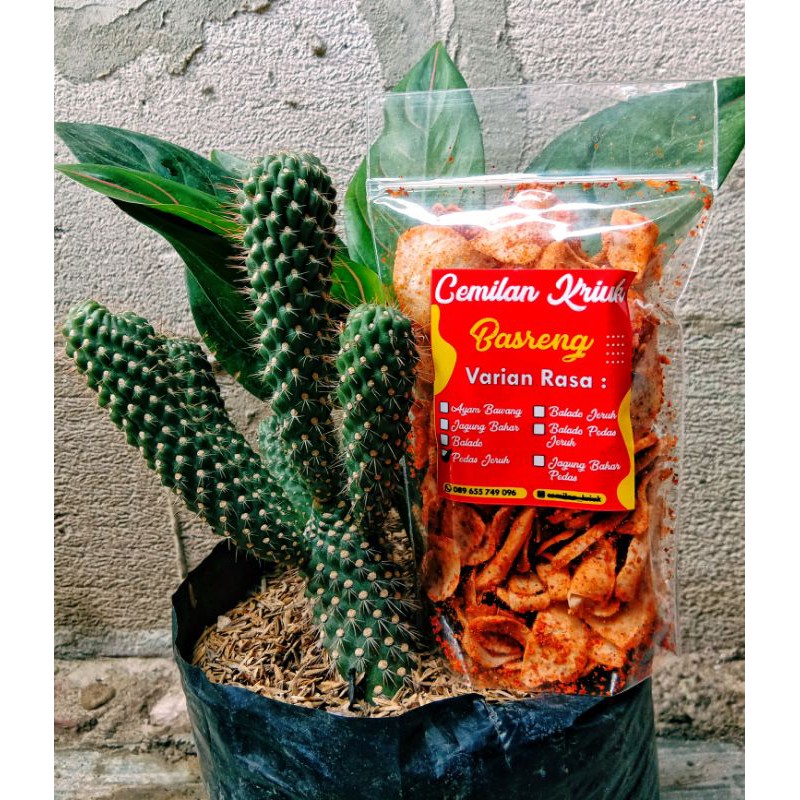 

BASRENG BY CEMILAN KRIUK/CEMILAN KEKINIAN