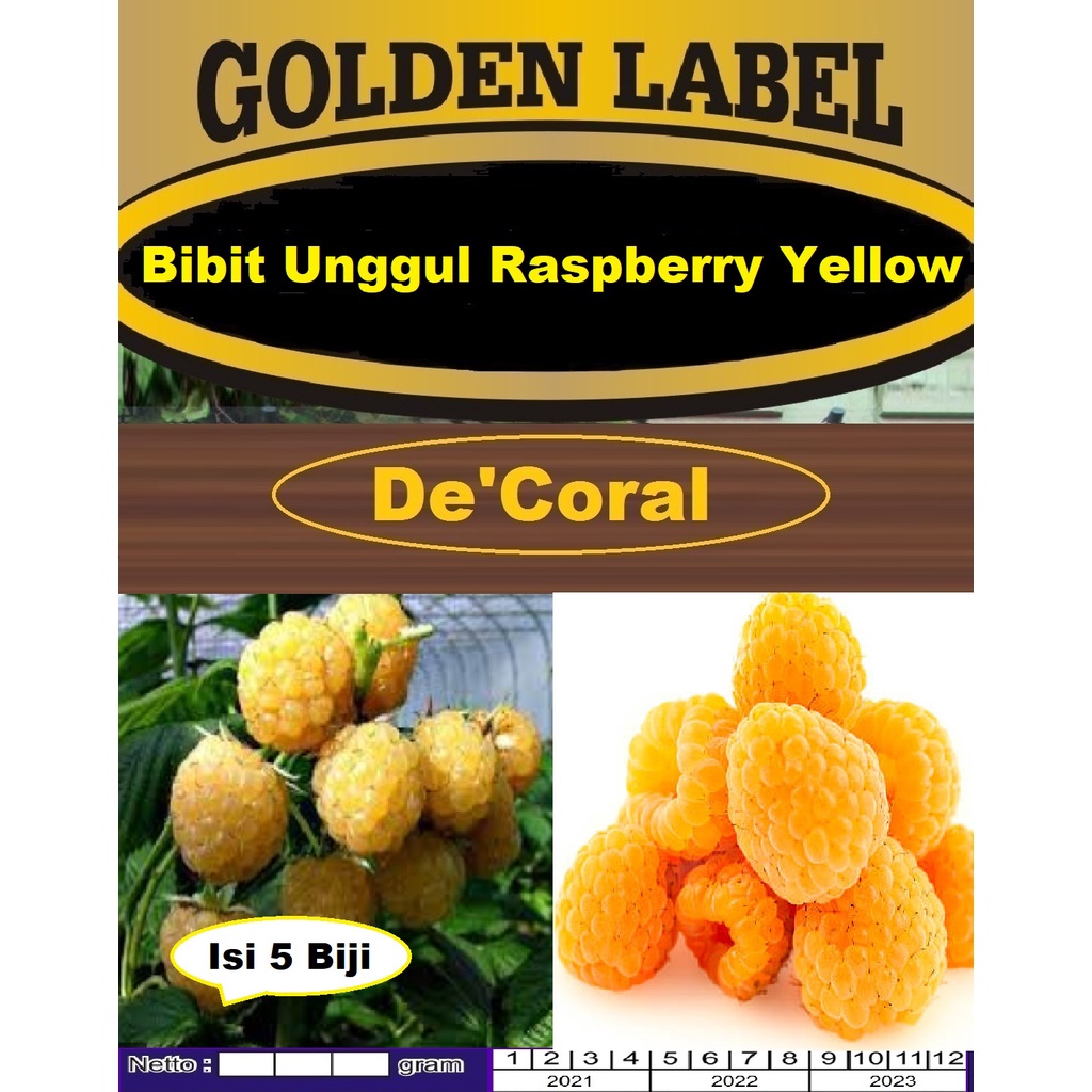 Bibit Unggul Raspberry Yellow| Benih Raspberry Kuning |Bibit Raspberry Kuning
