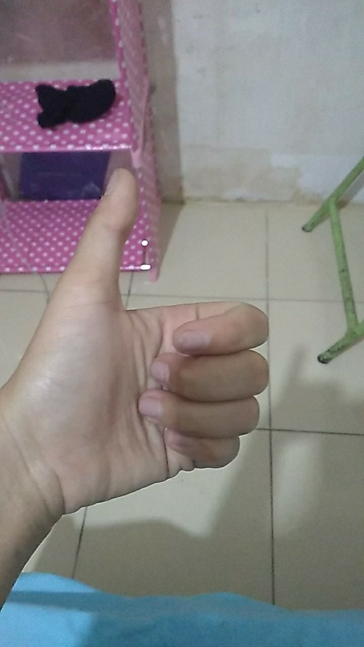 Sumbu Solar Merk Bison