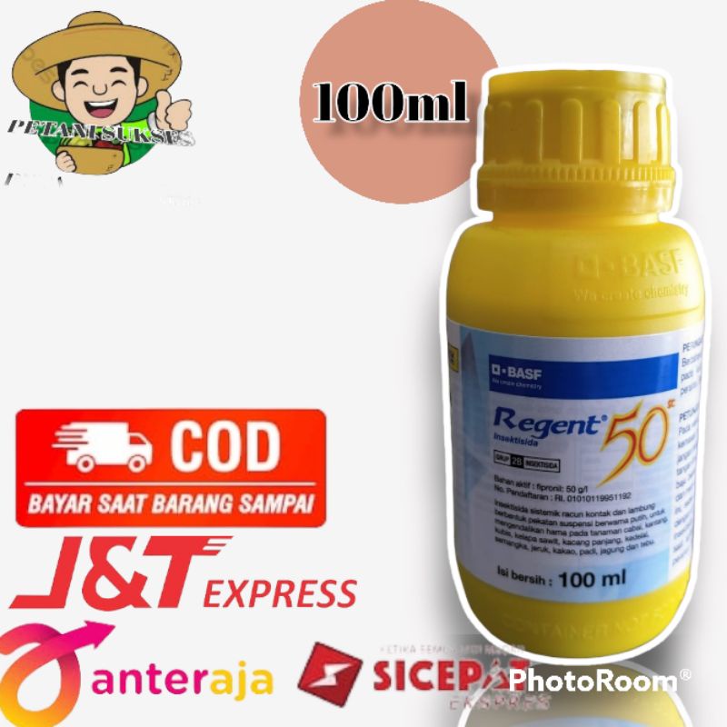 Insektisida Kontak Regent 50SC Membasmi Hama Tanaman Jagung Padi