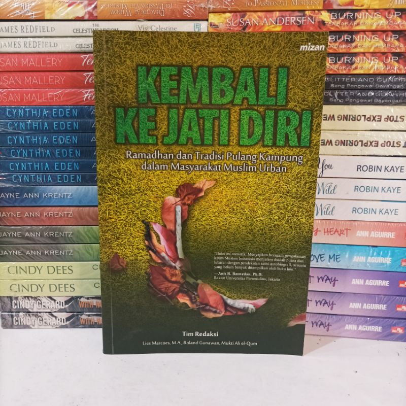 Buku Obral Murah - Buku Kembali Ke Jati Diri (Original Mizan)