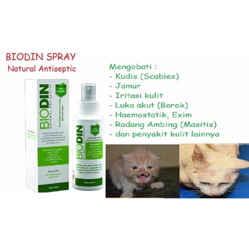 BIODIN SPRAY 100ml / obat jamur scabies kucing anjing / hewan / cat dog / pet