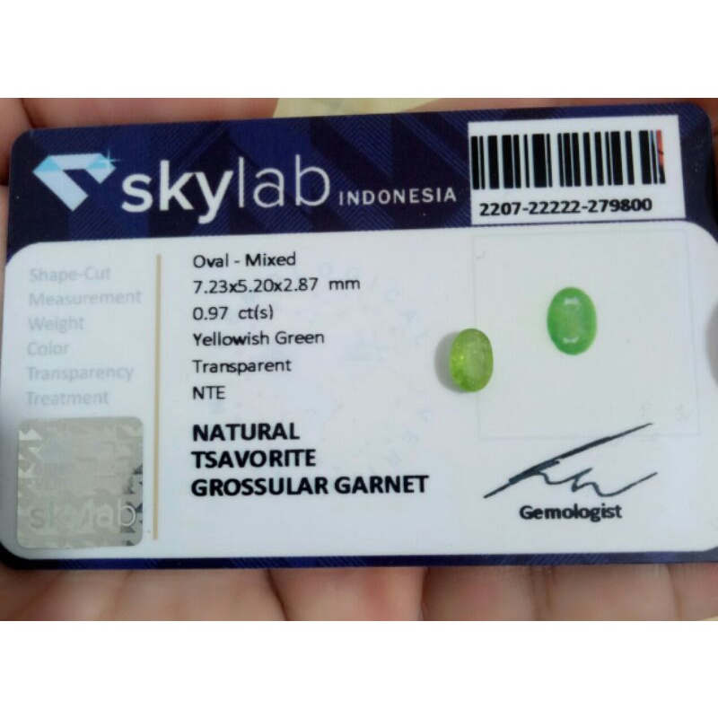 natural tsavorite sudah dengan memo