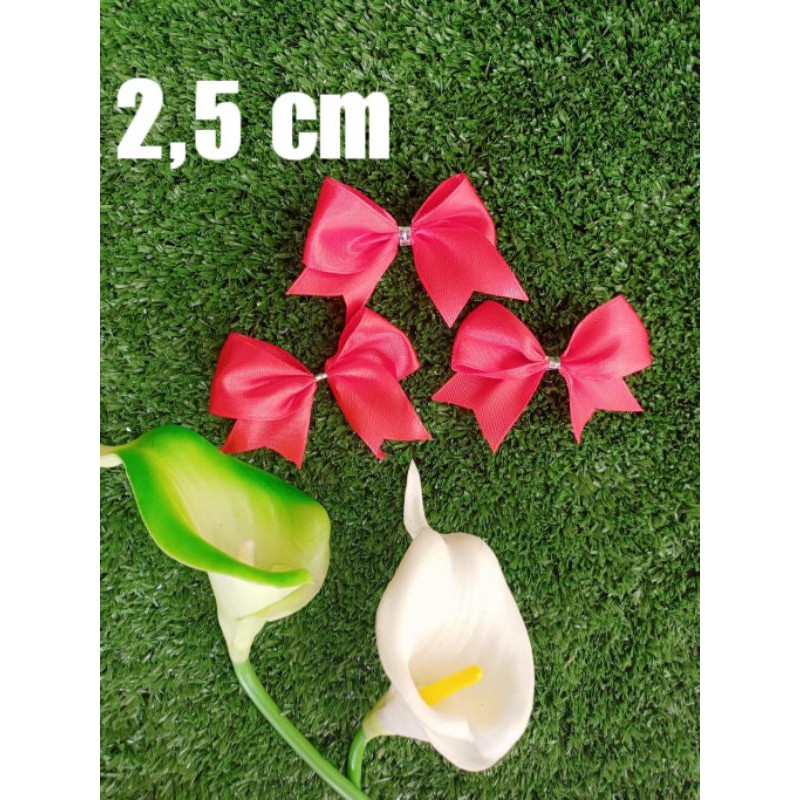 

Pita souvenir / pita satin 2,5 cm