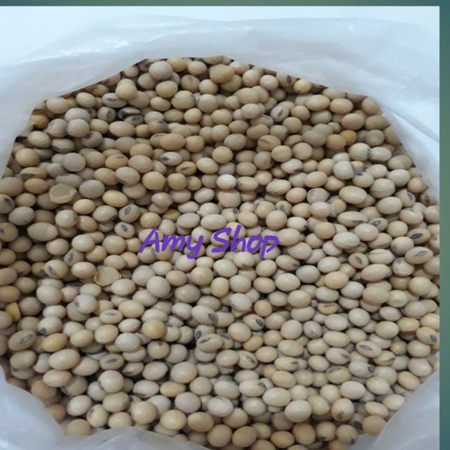 

Kacang Kedelai Kwalitas Bagus per 1 kilo