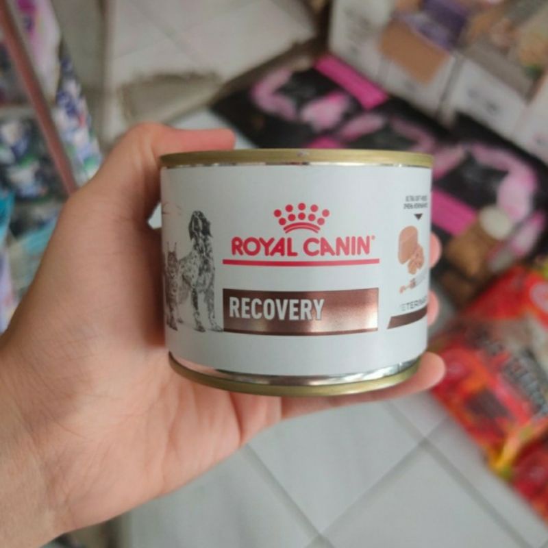 ROYAL CANIN RECOVERY ( KUCING/ANJING)