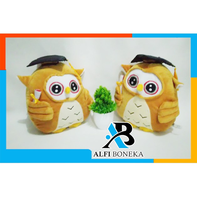 [ BISA BAYAR DI TEMPAT ] Boneka Owl Sarjana - Boneka Owl Wisuda Murah Berkualitas