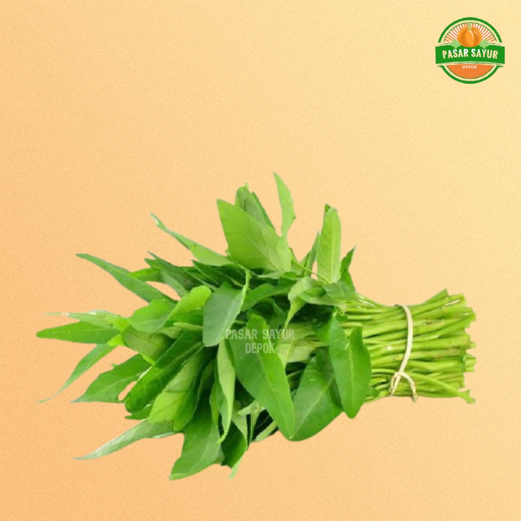 

DAUN KANGKUNG SEGAR / SAYUR KANGKUNG
