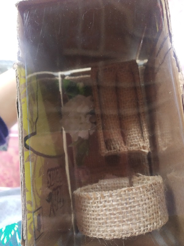 Kayu Cincin Gelang Tutup Mika Untuk Seserahan Pernikahan