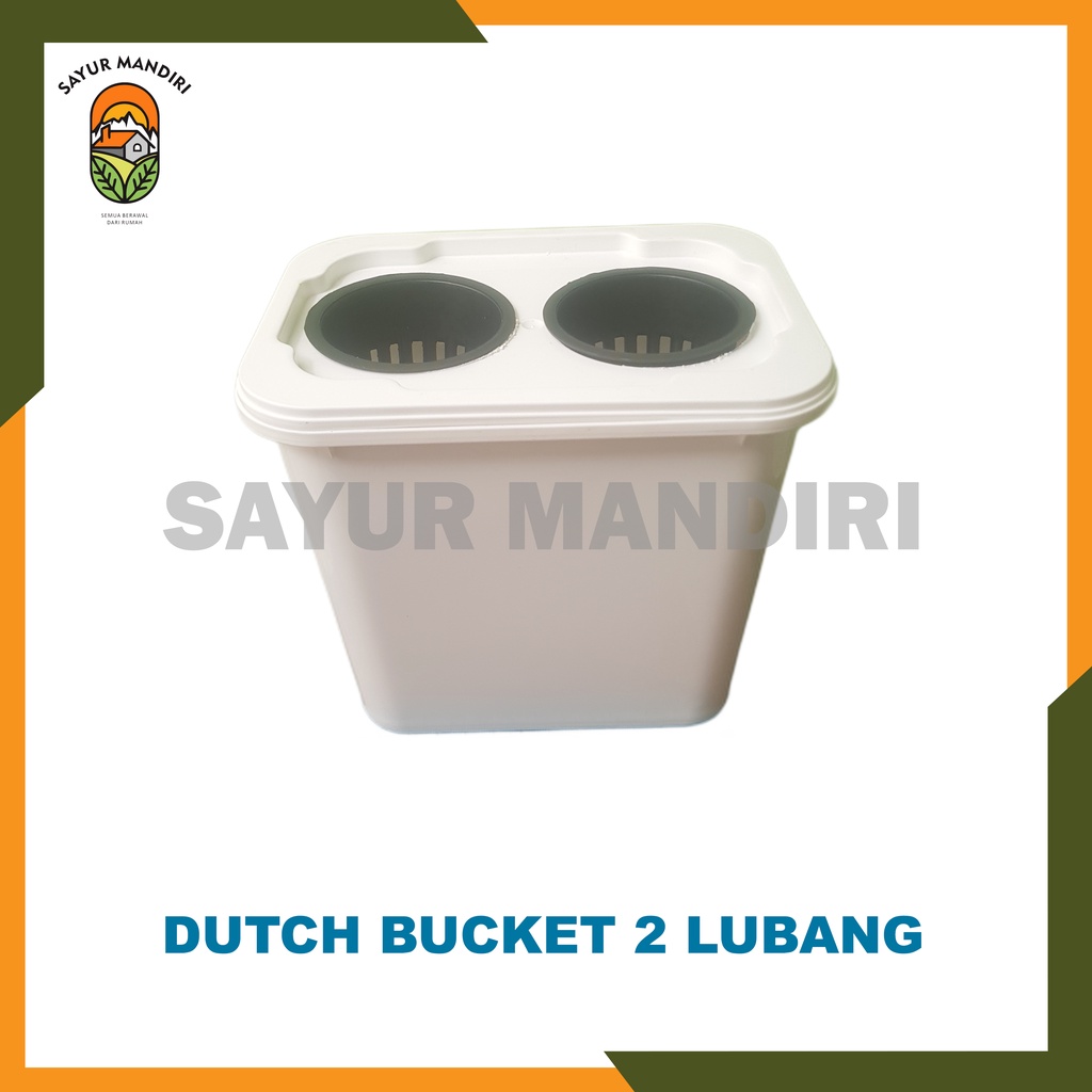 Dutch Bucket 2 Lubang 8 Liter Bonus Benih