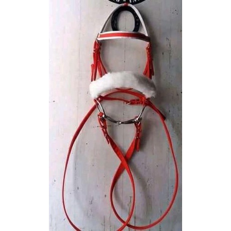 Bridle satu set