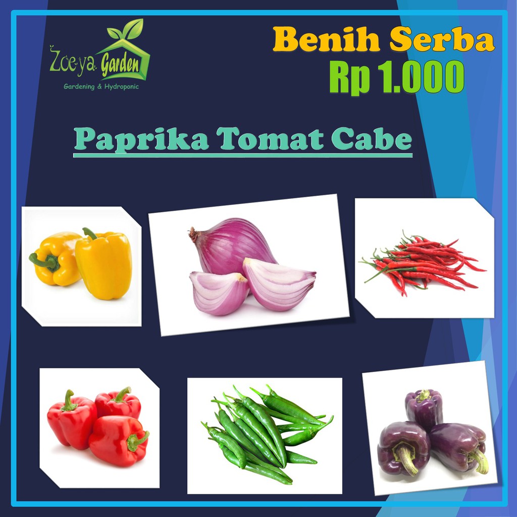 Benih Serba 1000 Rupiah ( Paprika, Tomat, Cabe, Bawang Merah )