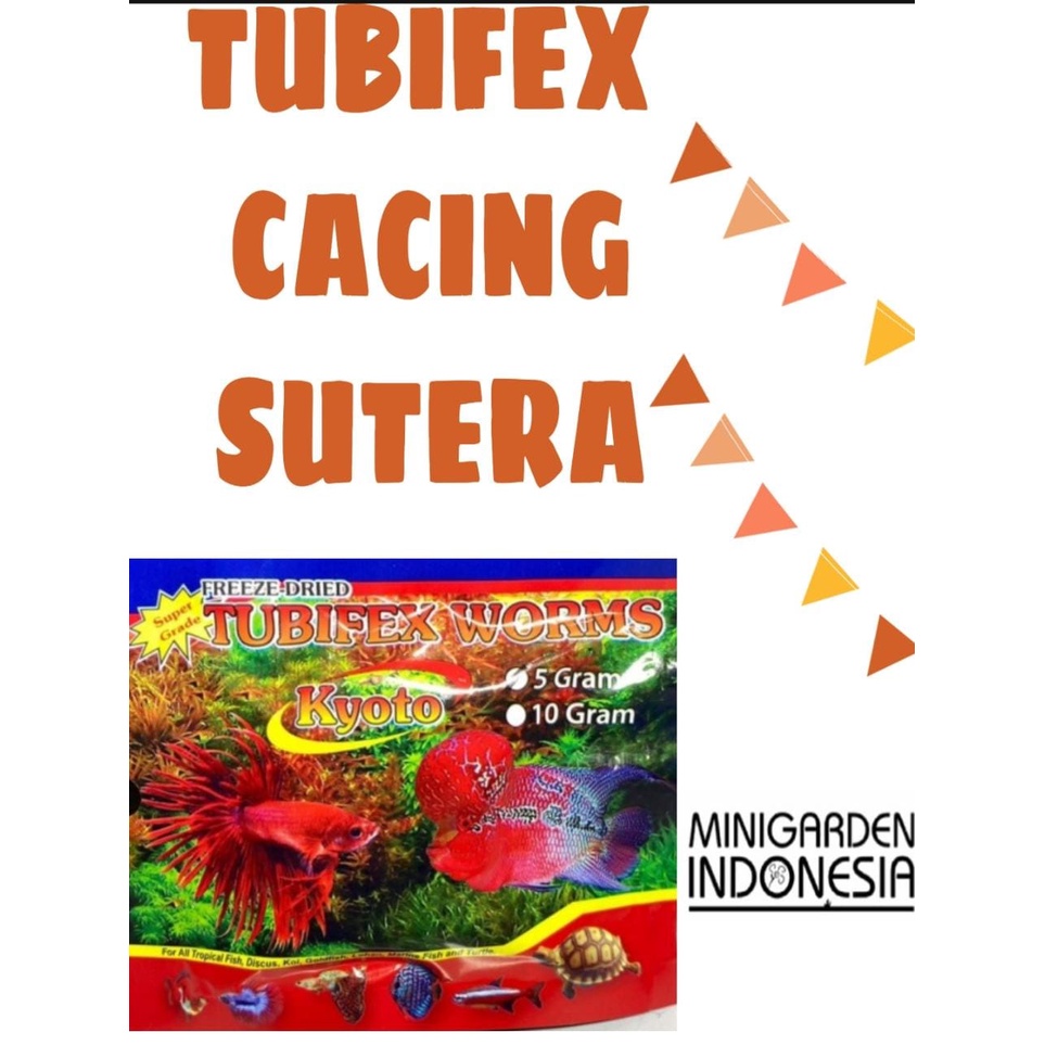 TUBIFEX WORMS 5 GRAM KYOTO CACING SUTERA KERING SUTRA BEKU PAKAN IKAN