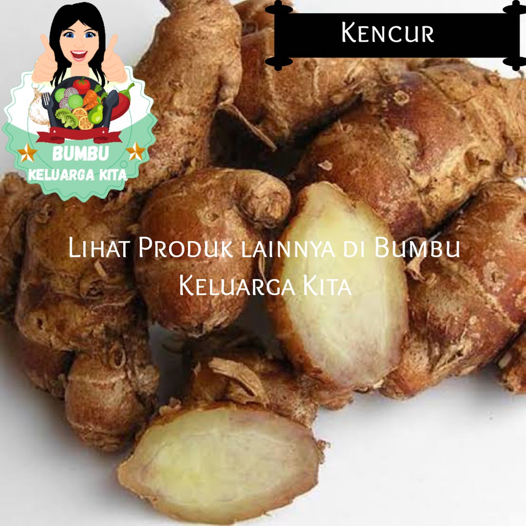 

Kencur / Cikur / Galangal 250Gram