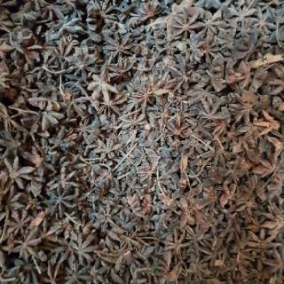  Pekak  bunga  lawang  kembang  lawang  100 gram Shopee 