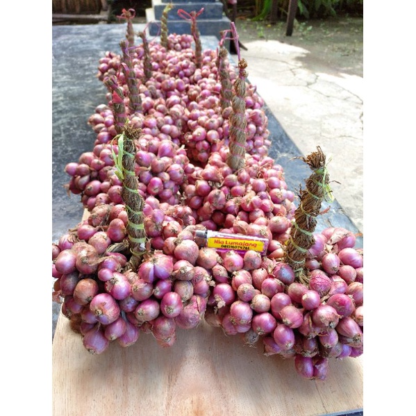 GROSIR Per 5 Pocong/Ombyokan/Untingan Bawang Merah Campuran (Tanggung & Kecil)