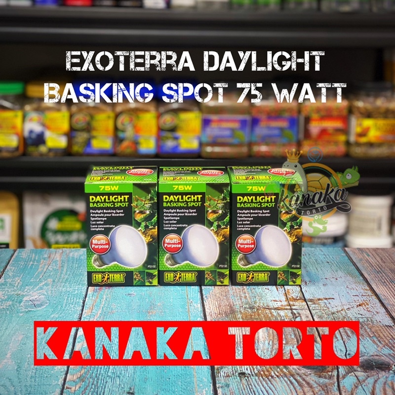 Jual Exoterra Daylight Basking Spot Watt Lampu Pemanas Uva Hewan Reptil Torto Sulcata