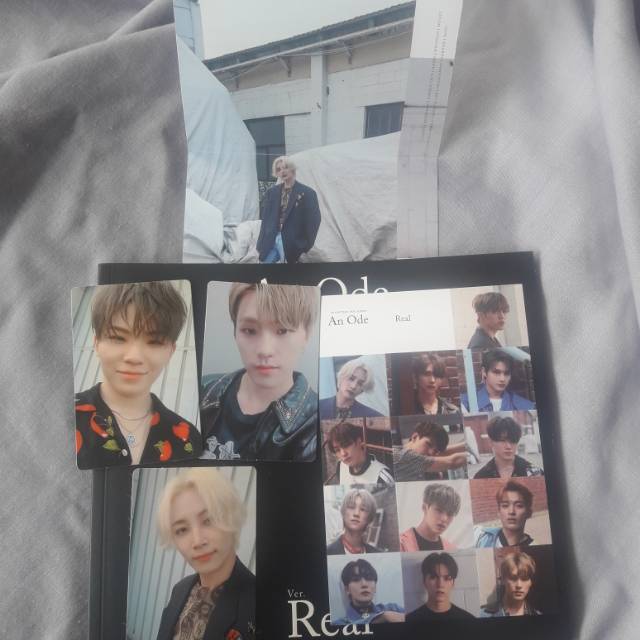 SEVENTEEN An Ode Real Woozi Dino Jeonghan Scoups