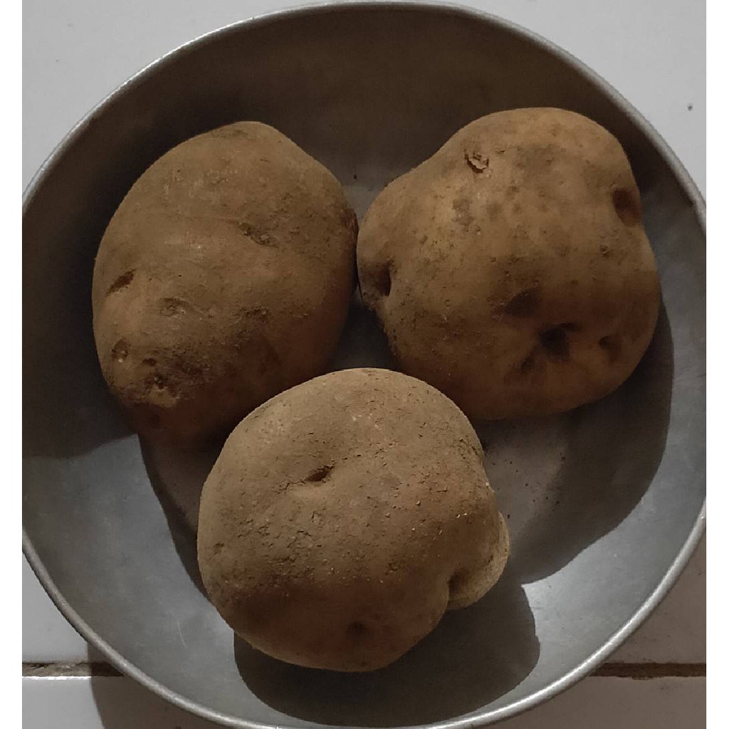 

Kentang Dieng Kualitas Super | besar, sedang, kecil 1 Kg