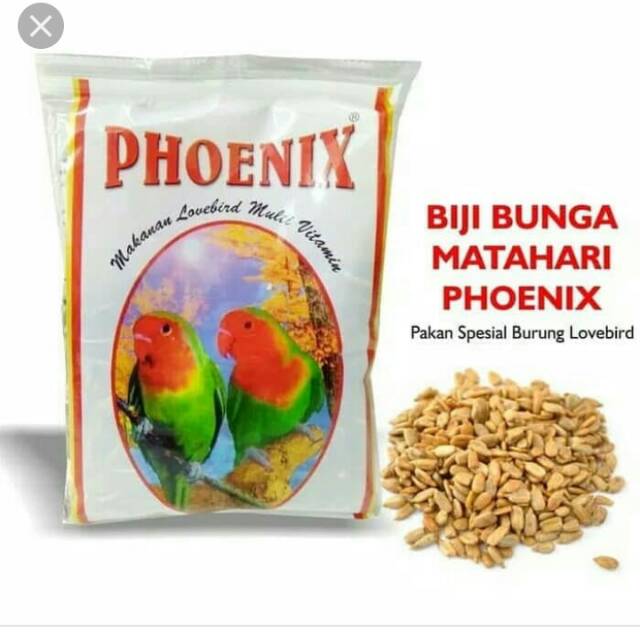 

PHONIK love bird.. Kuaci nya