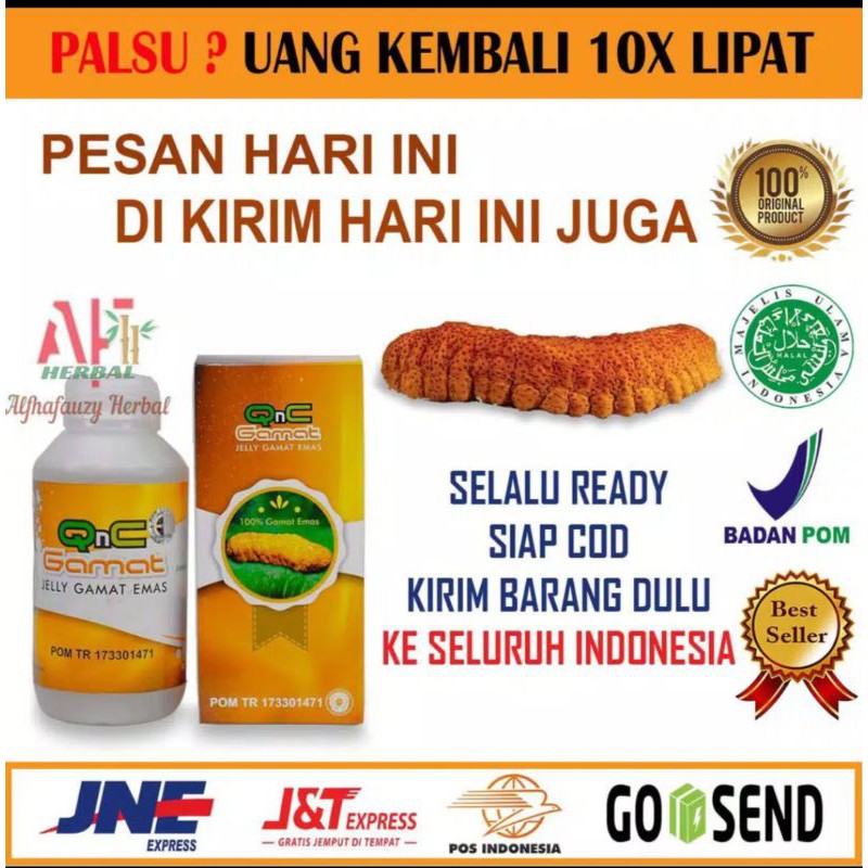 Jual Qnc Jelly Gamat Emas Original Asli Shopee Indonesia