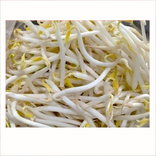 

Tauge Segar 250gr | Pasar Induk Pekanbaru #Harga_Grosir