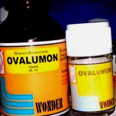 OVALUMON - Obat Spesial Hewan Betina 