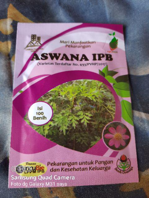 Benih Sayuran Daun Kenikir Bunga Pink / Ungu