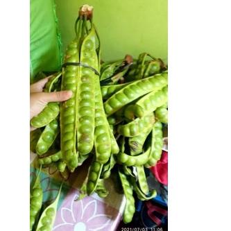 

Paling Laris|SQ37|paket 10 papan pete segar / 1 ikat