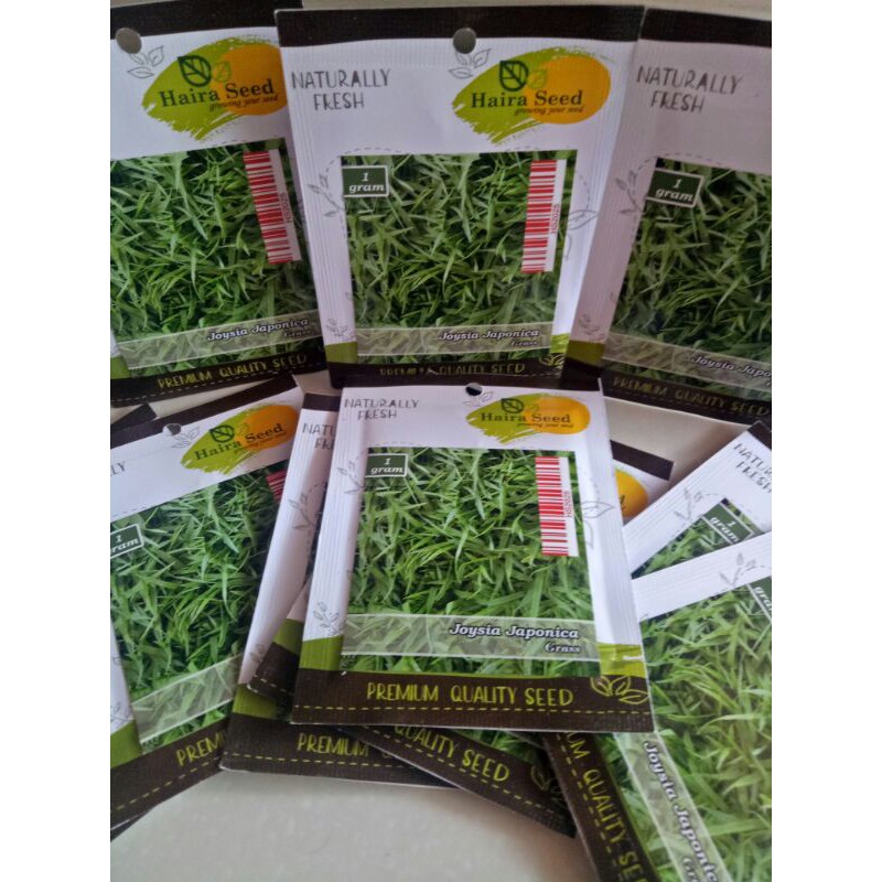 Benih bibit rumput jepang Shopee Indonesia Benih bibit rumput jepang Shopee Indonesia