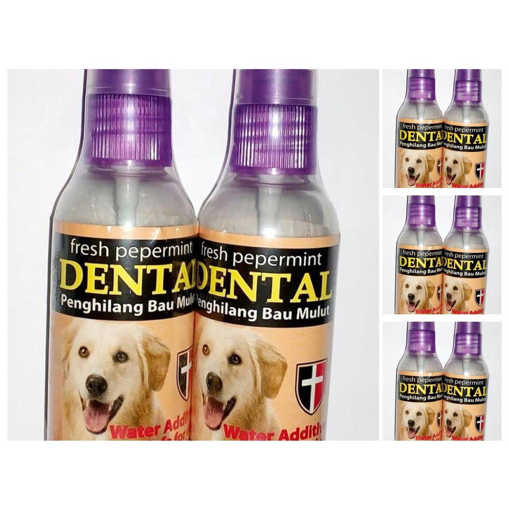 dental dog   spray penghilang bau mulut anjing