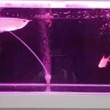 Lampu aquarium 40cm / Lampu Led Aquarium / Lampu celup aquarium / Lampu neon
