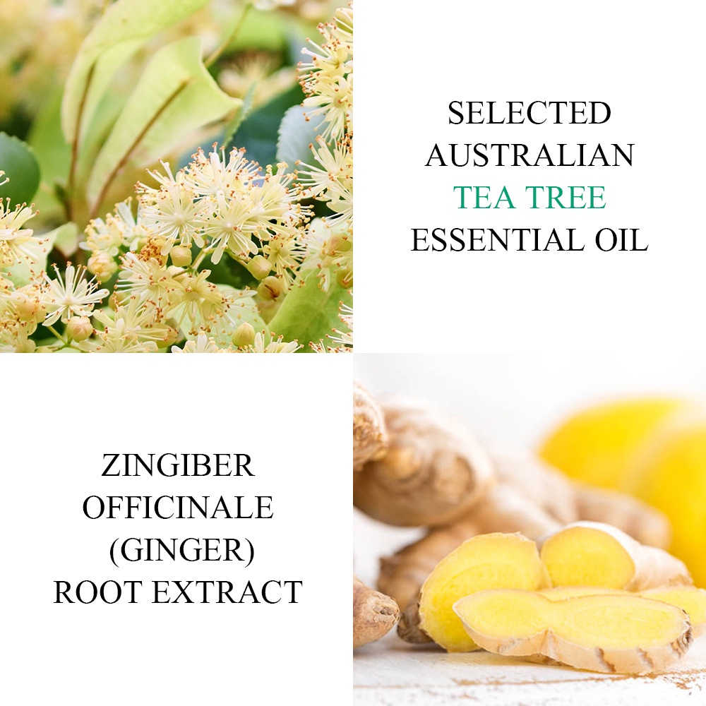 PEMBERSIH JERAWAT BREYLEE TEA TREE ACNE TREATMENT PEN