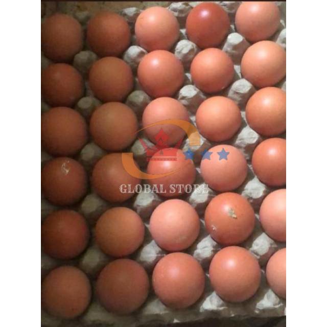 Ready Stock Telur ayam negeri / horn per kg Bandung