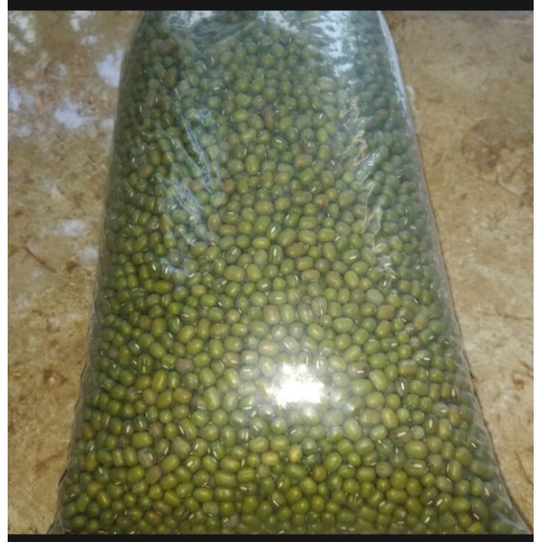 

kacang hijau kacang bubur hijau
