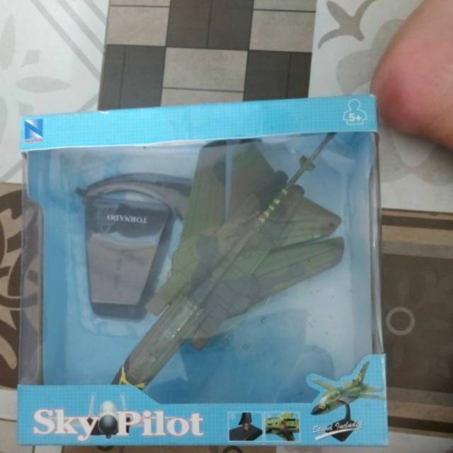 Sky Pilot