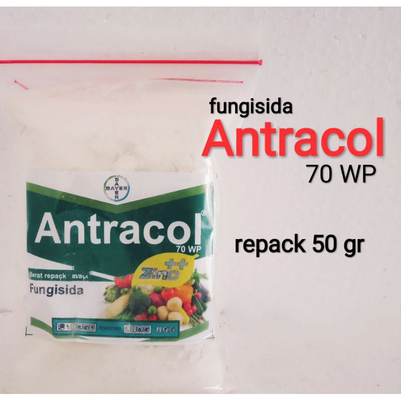 Antracol Fungisida (Repack 100gram)