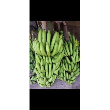 pisang ambon 1 tandan