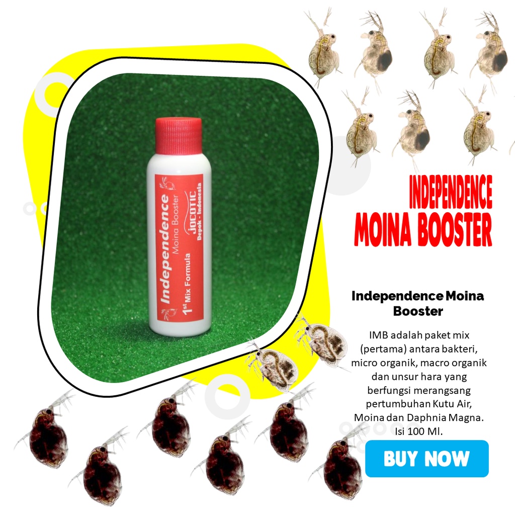 Independence Moina Booster Kultur Kutu Air 100 Ml