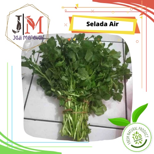 

[JM SoFresh] - Selada Air