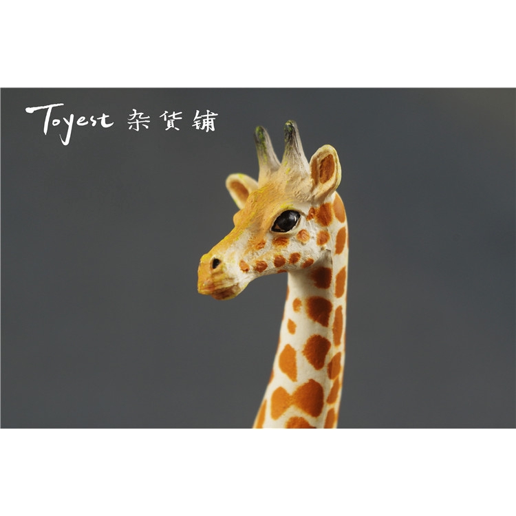 Mainan Model Kartun Hewan Lucu Untuk Wanita Shopee Indonesia